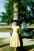 Saipan 1956 Collection, No. 7 Woman Under Coconut Tree